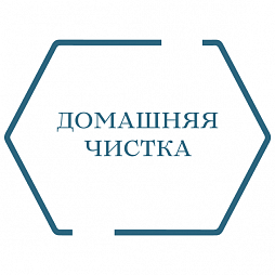 Домашняя чистка